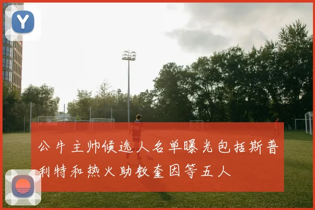 公牛主帅候选人名单曝光包括斯普利特和热火助教奎因等五人