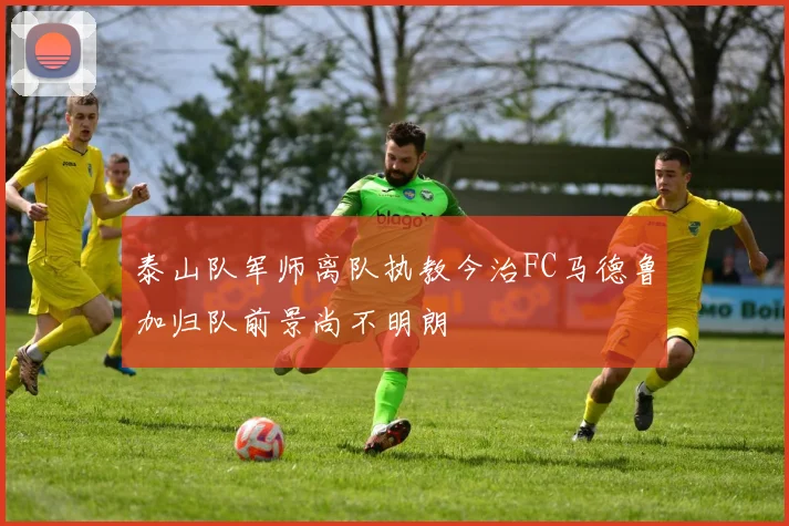 泰山队军师离队执教今治FC马德鲁加归队前景尚不明朗